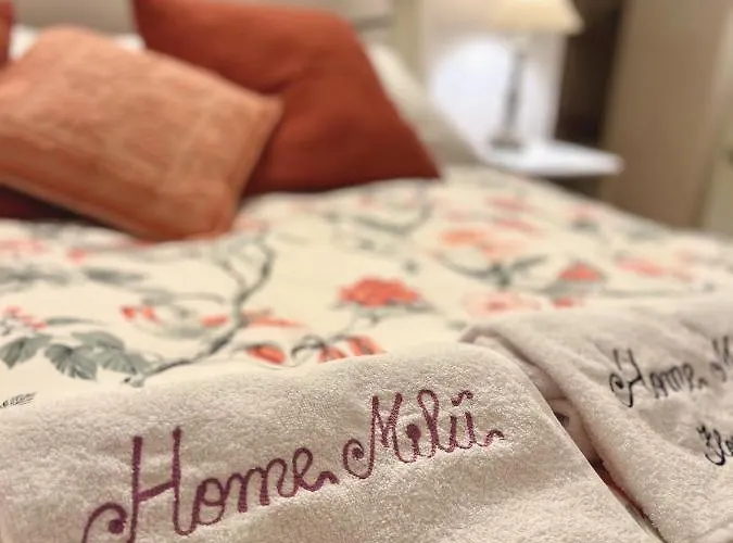 Home Milu - Milu Holidays Firenze